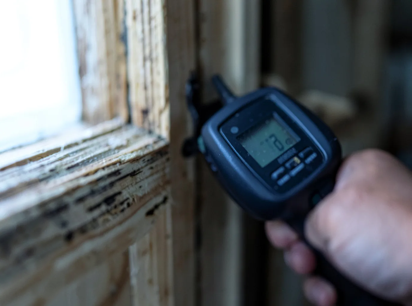 Moisture Inspection And Documentation in Dougherty, TX